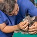 MultiVet - cabinet veterinar